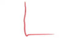 l.webp