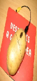 potato miuse.webp