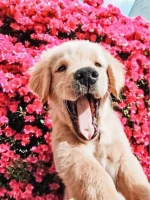 C11B0592-2ADD-48AB-8A6D-47652E9111C8.webp
