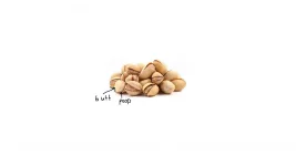 Untitled.webp