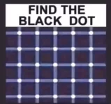 find_black_dot.webp