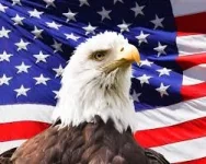 1596058200500.webp