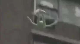 Kermit falling.webp