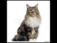 B876EE85-8C4C-4AD0-8E08-01D4DDD53208.webp