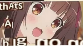thats-a-big-no-no.webp