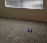 ertyuiuytrtyuilkjhgfr.webp