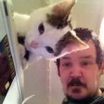 1516127449378.webp