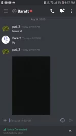 Screenshot_20200814-215739_Discord.webp