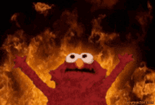 Elmo Fire GIFs | Tenor