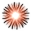 www.xenonservers.com